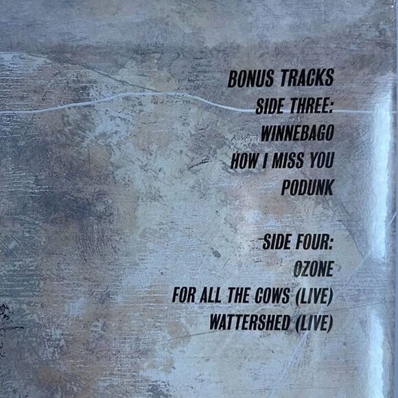 Foo Fighters - Foo Fighters - Mint Colored Double Vinyl 30th Ann Edition NEW - Picture 5 of 5